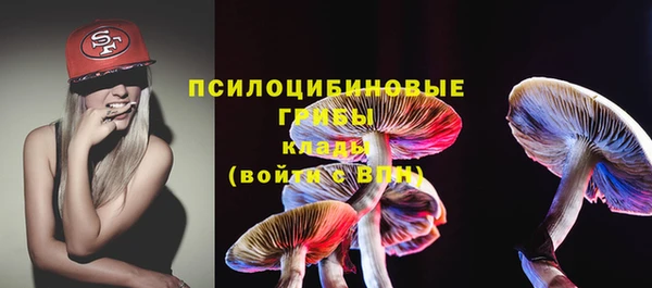 прущие грибы Лабытнанги