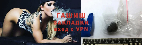 прущие грибы Лабытнанги