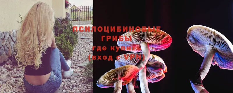 Галлюциногенные грибы Magic Shrooms  kraken ТОР  Ликино-Дулёво 